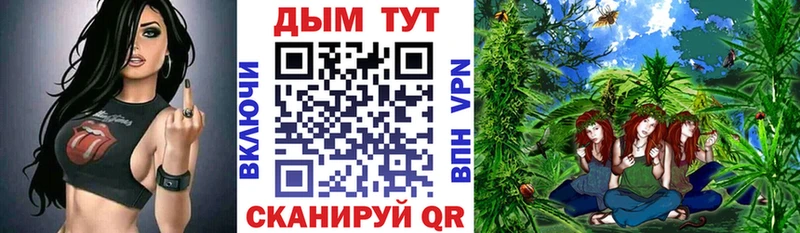Где найти наркотики Сурск Каннабис  Меф  Cocaine  A-PVP  ГАШ 