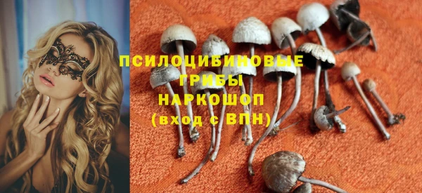 спиды Арсеньев