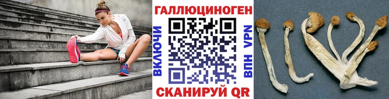 Галлюциногенные грибы Psilocybine cubensis  Сурск 